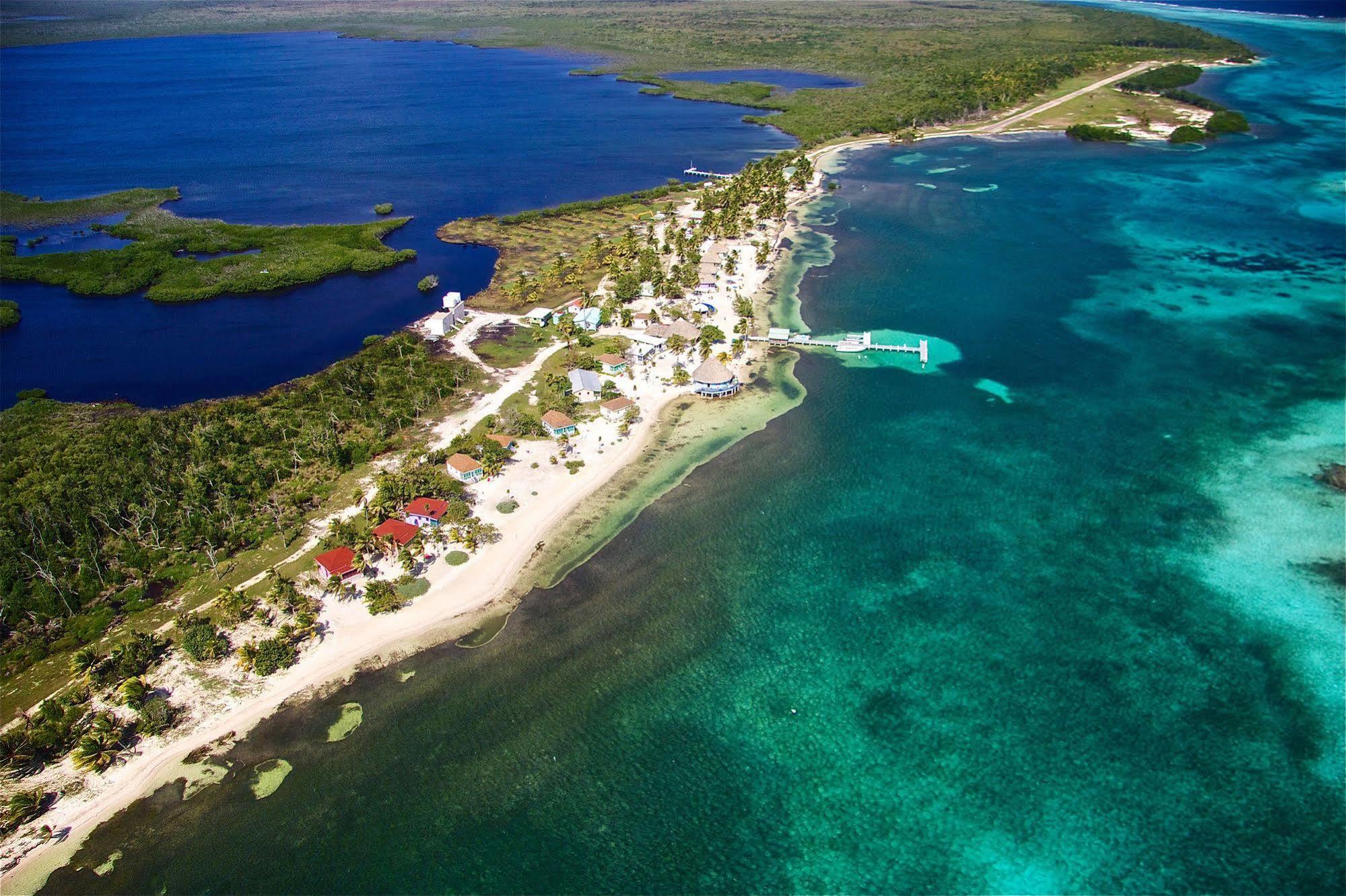 Blackbird Caye Resort Turneffe Atoll Kültér fotó